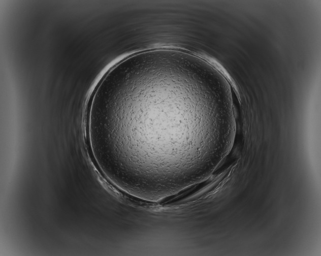 X0000085731148200703231042