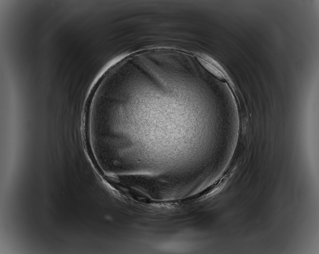 X0000085731149200703231042