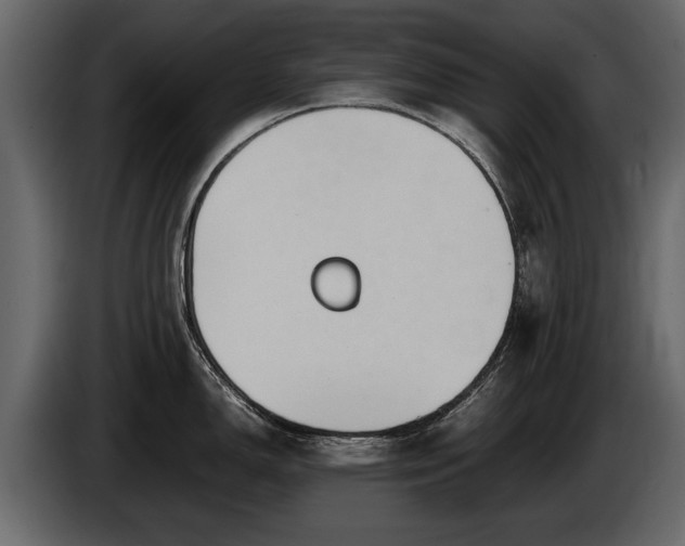 X0000085731150200703231042