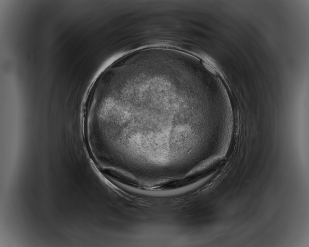 X0000085731151200703231043