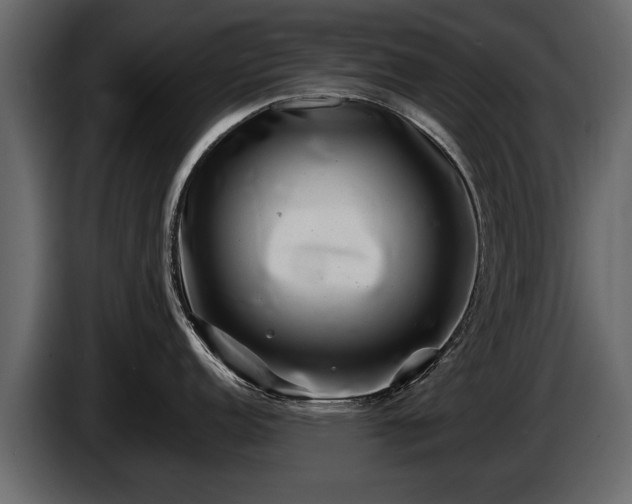 X0000085731152200703231043