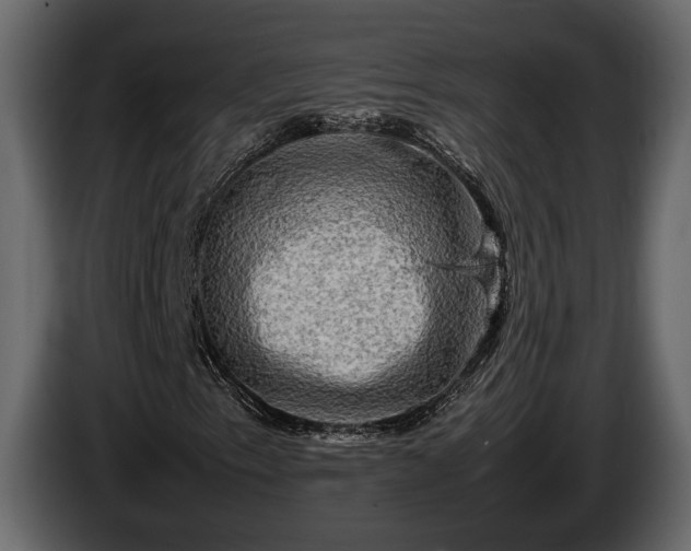 X0000085731153200703231042