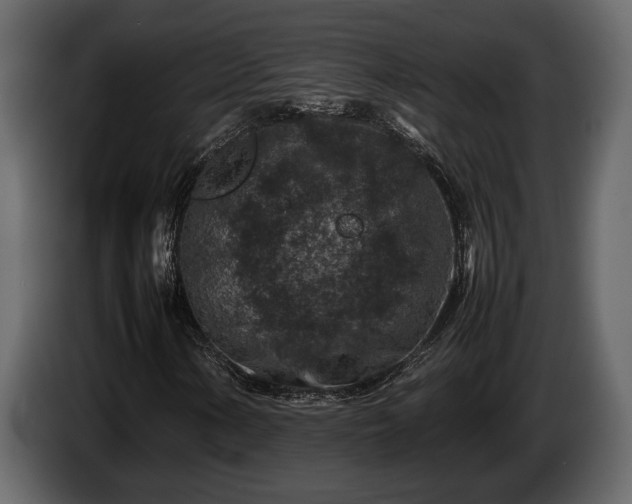 X0000085731154200703231042