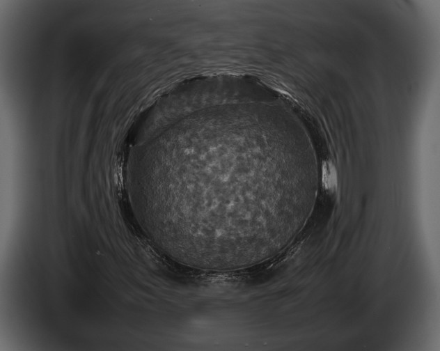 X0000085731155200703231042