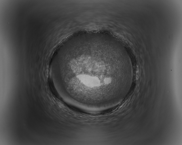 X0000085731157200703231042