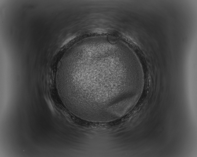 X0000085731158200703231042