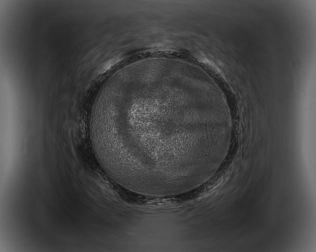 X0000085731159200703231042