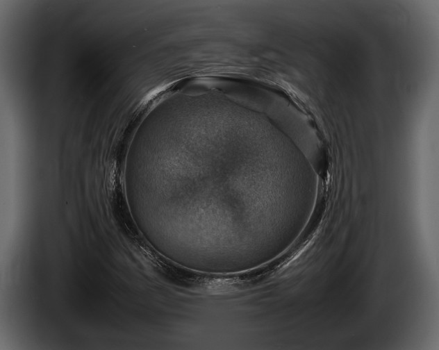 X0000085731161200703231042