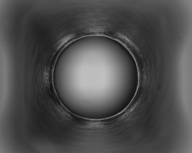 X0000085731162200703231042