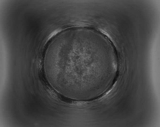 X0000085731163200703231042