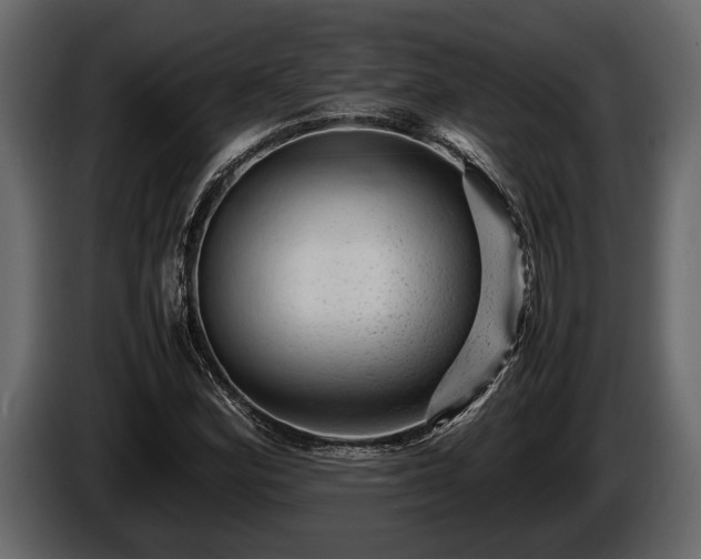 X0000085731164200703231042