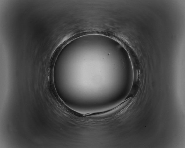 X0000085731165200703231042