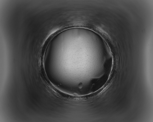 X0000085731166200703231042