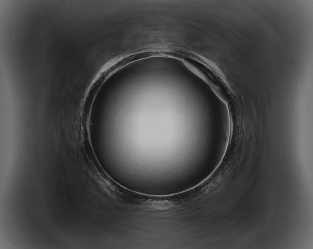 X0000085731168200703231042