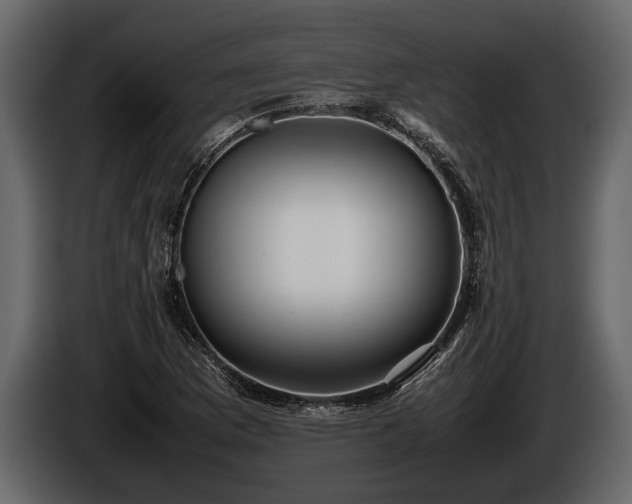 X0000085731169200703231042