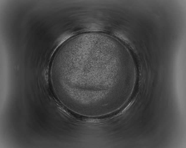 X0000085731170200703231042