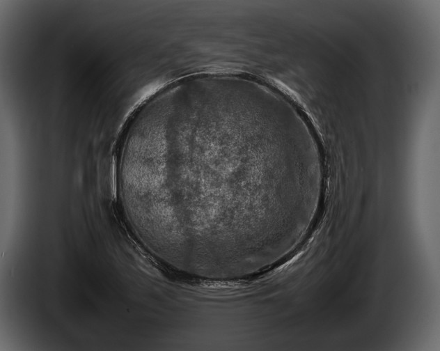 X0000085731171200703231042