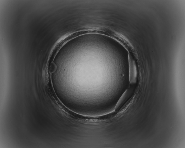 X0000085731172200703231042