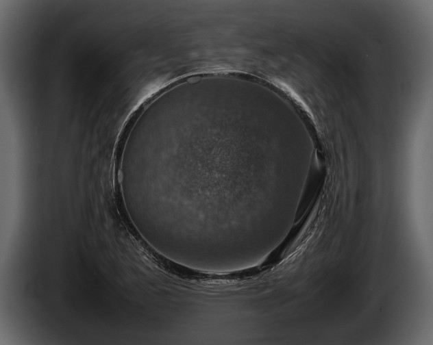 X0000085731173200703231042