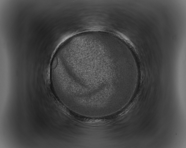 X0000085731174200703231042