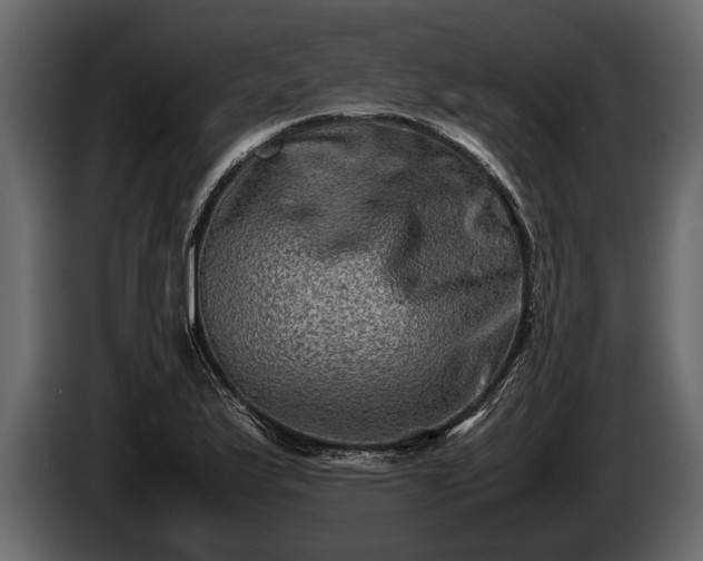 X0000085731175200703231042