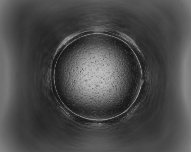 X0000085731176200703231042