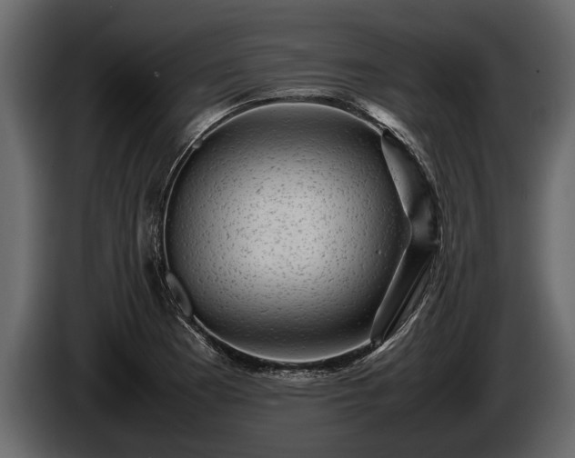 X0000085731177200703231041