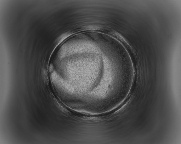 X0000085731178200703231041