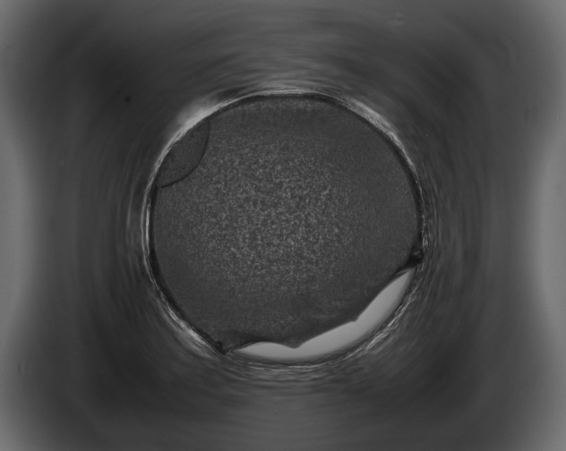 X0000085731179200703231041