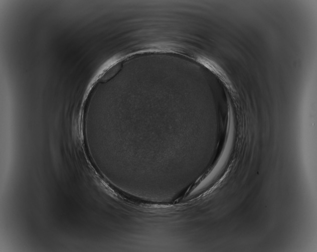 X0000085731180200703231041