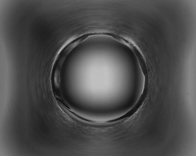 X0000085731181200703231041