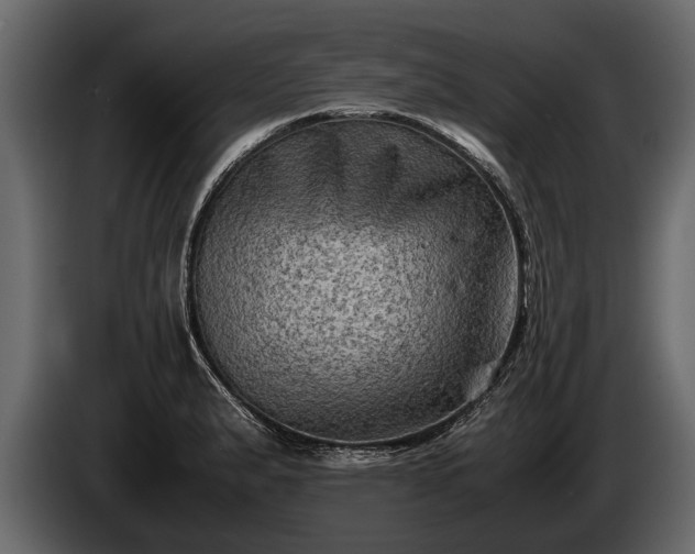 X0000085731183200703231041