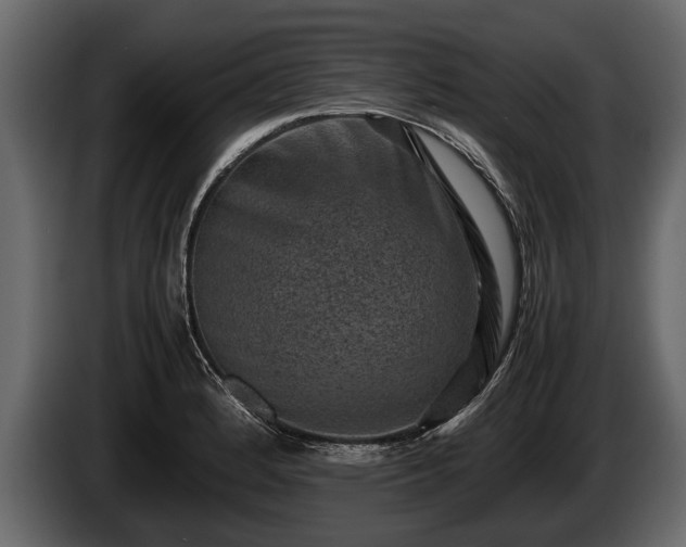 X0000085731184200703231041