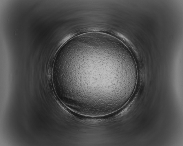 X0000085731185200703231041