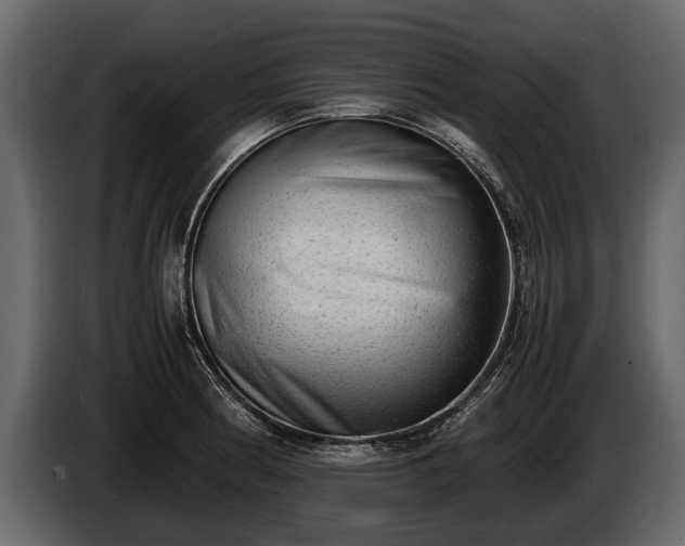 X0000085731186200703231041