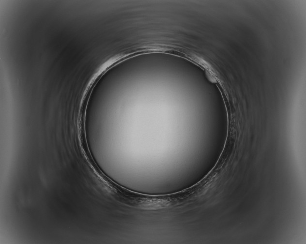 X0000085731187200703231041