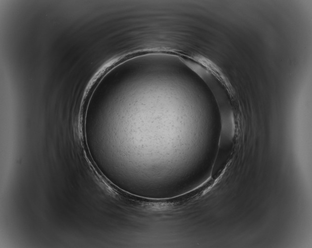 X0000085731188200703231041