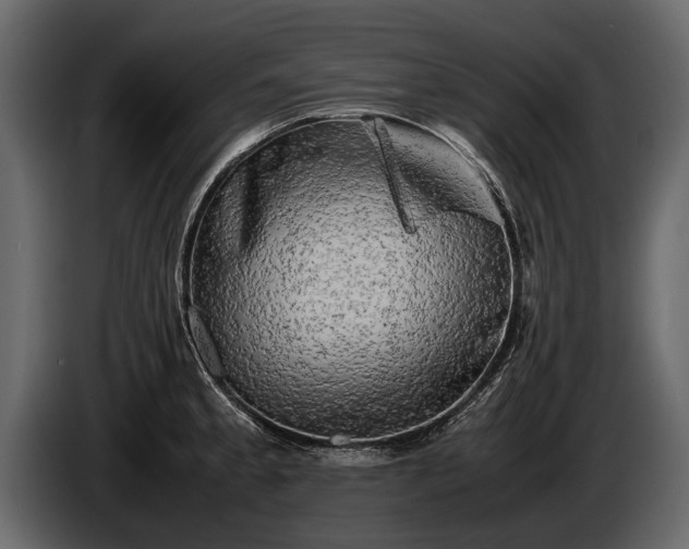 X0000085731189200703231041