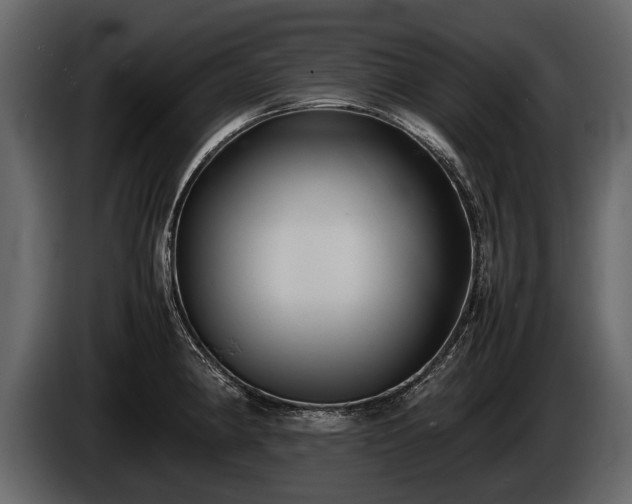 X0000085731190200703231041