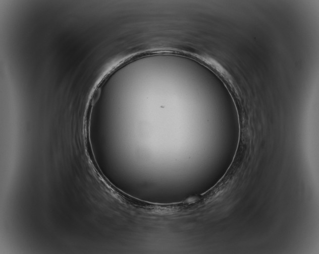 X0000085731191200703231041