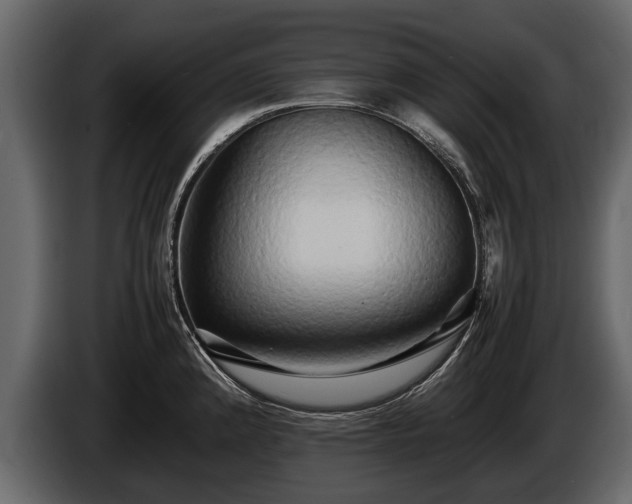 X0000085731192200703231041