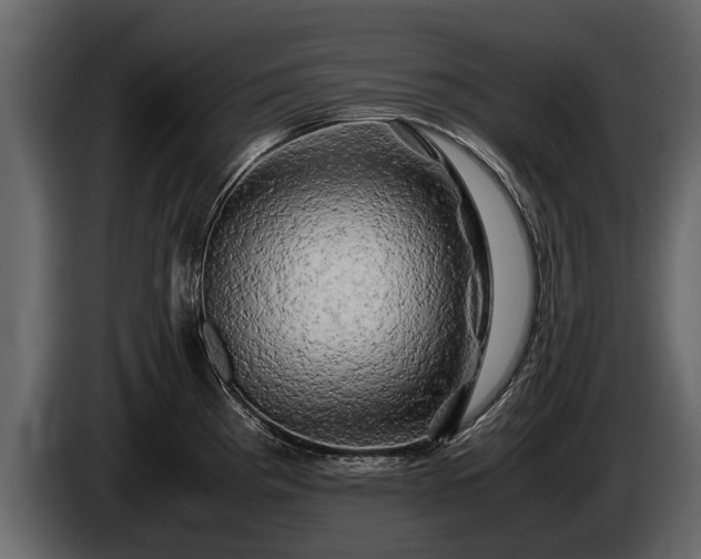 X0000085731193200703231041