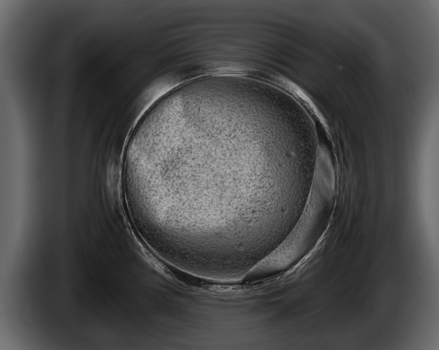 X0000085731194200703231041