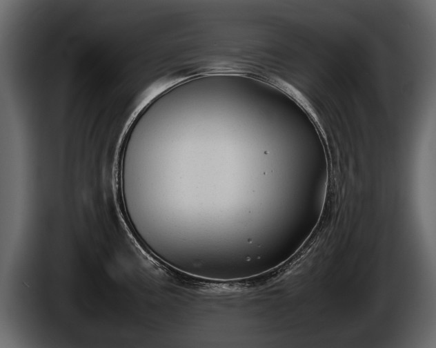 X0000085731195200703231041