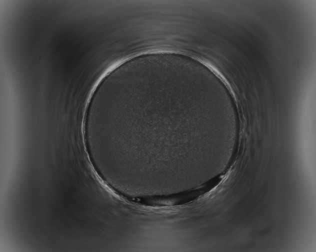 X0000085731197200703231041