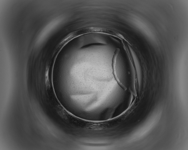 X0000085731198200703231041