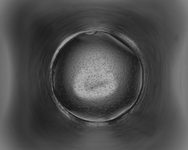 X0000085731200200703231041