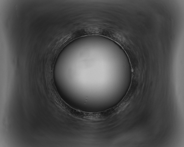 X0000085731201200703231040