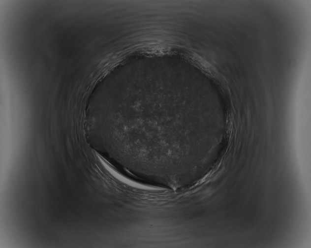 X0000085731202200703231041