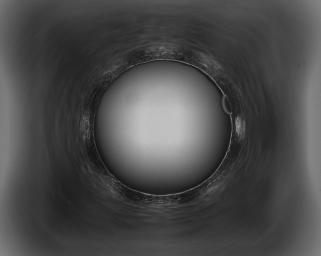 X0000085731203200703231041